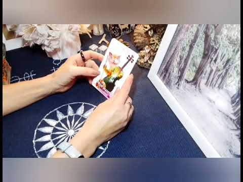 Видео: Какое Ваше начинание готовы поддержать Высшие Силы