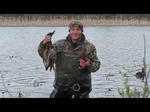 Видео: ЗАМЕЧАТЕЛЬНАЯ  охота  с подсадными утками.25.04.2024