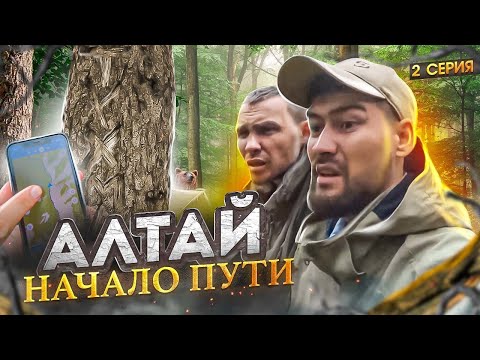 Видео: АЛТАЙ. ЗАБРОСКА. МЕДВЕДЬ НА МАРШРУТЕ. ОРОКТОЙСКАЯ ТРОПА К БЕЛУХЕ.