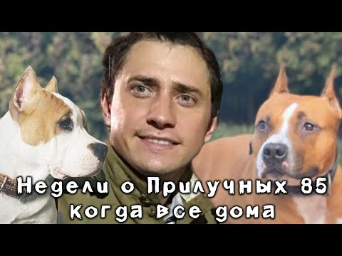 Видео: Недели о Прилучных №85 - Когда все дома