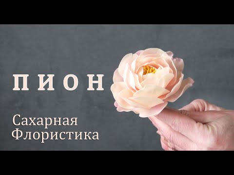 Видео: Пион розовидный из мастики/ Sugar fondant peony/ Peonía fondant de azúcar