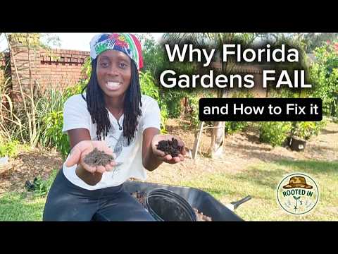 Видео: Садоводство во Флориде: все, что нужно знать перед началом работы