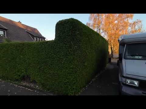 Видео: Пешком по деревне в Германии продолжение 2ч