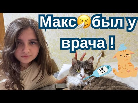 Видео: Макс прогулял 2💰гривен 🚑