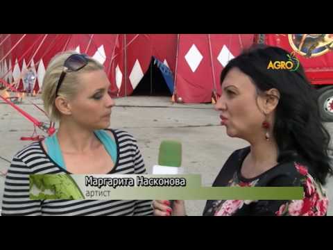 Видео: Отношение към животните в цирка