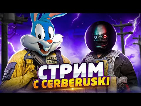 Видео: РАЗВАЛИВАЕМ ПАБЛИК С @Cerberuski В CALL OF DUTY MOBILE