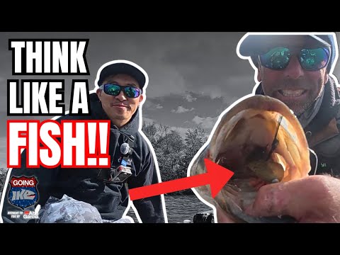 Видео: 🔥 Лучший рыболов из всех, кого я знаю Finesse | Тестируем НОВЫЙ Flux Gill с BFS Jimmy RAWR 🦁