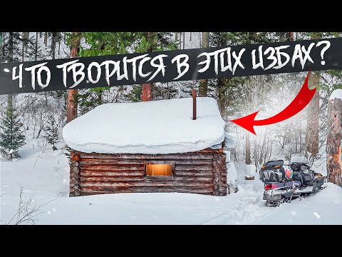 Видео: ЧТО-ТО НЕВЕРОЯТНОЕ ТВОРИТСЯ В ЭТИХ ИЗБАХ. КТО ИСПОРТИЛ ДОМ В ЛЕСУ?