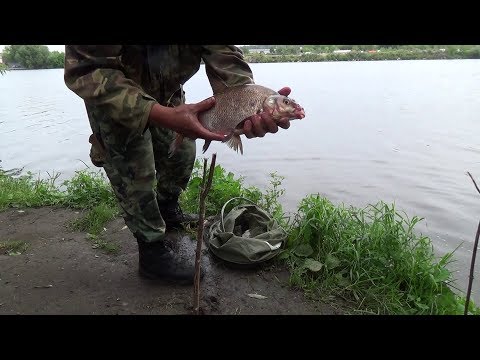 Видео: Рыбалка на Москва-реке с ночевкой. Чудеса!!! Хороший улов при плохом клеве.