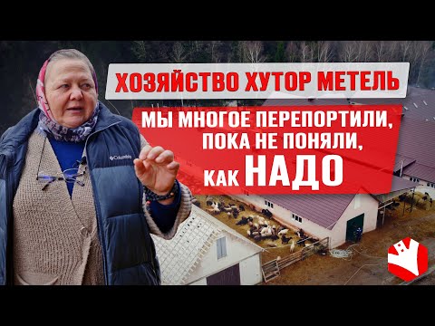 Видео: Бизнес на овцах | Содержание молочных и мясных овец | Овцы породы цвартблес