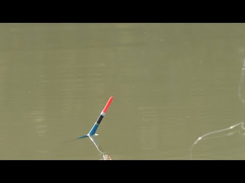 Видео: МОЩНЫЕ КАРАСИ в ОКТЯБРЕ на ПОПЛАВОК...ОНО ПОВИСЛО на крючок!!! Рыбалка2023