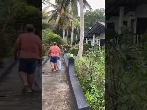 Видео: Отель flower garden 3* Шри-Ланка