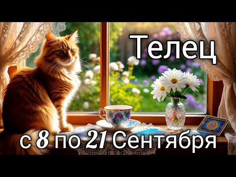 Видео: 🌞Телец! Таро прогноз с 8 по 21 Сентября!