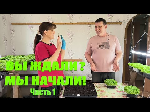 Видео: Пикировка табака началась.  Часть 1. Наша жизнь в деревне.