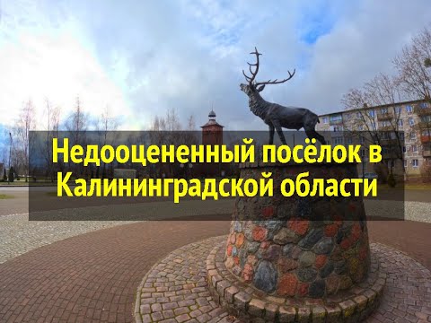 Видео: Недооцененный посёлок в Калининградской области