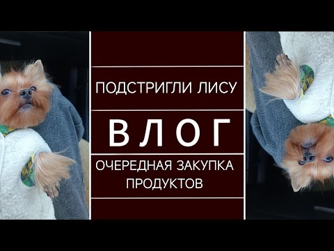 Видео: ВЛОГ: ДАЖЕ ЕСЛИ ОСЕНЬ, НАДО СТРИЧЬ. ОЧЕРЕДНАЯ ЗАКУПКА В СВЕТОФОР.