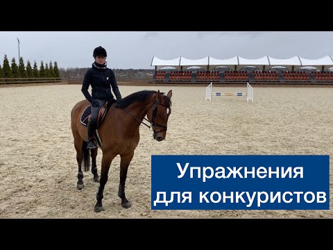 Видео: Конкурные упражнения с одним препятствием