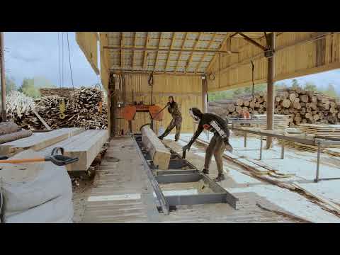 Видео: Ленточная пилорама Триумф 900 premium на производстве