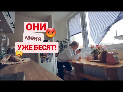 Видео: ВИДЕОДНЕВНИК🇨🇿🇺🇦/ Heimstaden умеют удивлять🤬 эпопея с окнами продолжается😩