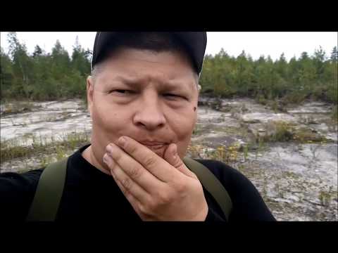 Видео: Тест новых пуль БПЗ 308 калибр  9,4 г