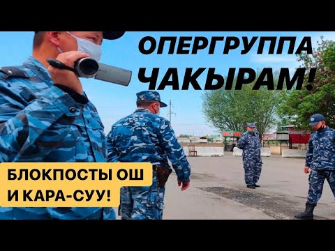 Видео: Курут.