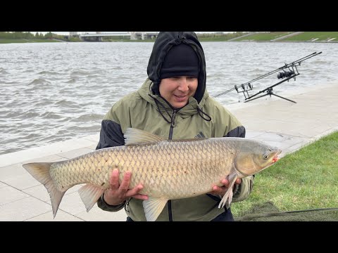 Видео: 2025 тің алғашқы амуры 10+