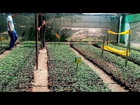 Видео: Биогумусро ба ки мефурушем? Маьлумот 900172225