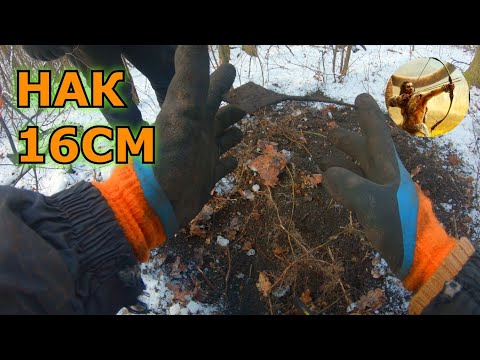 Видео: Хазарская стоянка как бы выбитая//Но Дед ждал нас