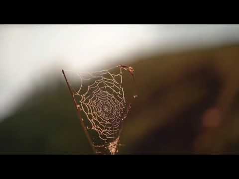 Видео: Песня "Матушка Земля" на Чувашском языке