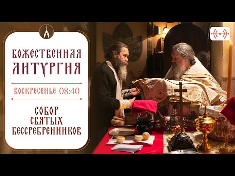 Видео: БОЖЕСТВЕННАЯ ЛИТУРГИЯ. Трансляция 17 ноября (воскресенье) в 08:40