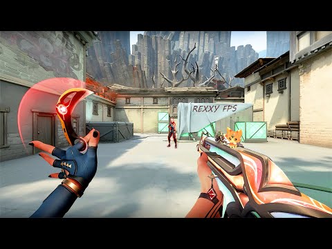 Видео: Вот как нужно играть по рангу (с примечаниями)