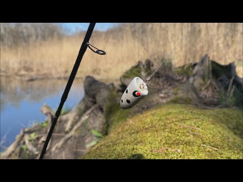Видео: Рибалка ульот - Попла Поппер весною це щось.