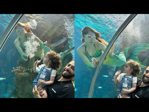 Видео: Самый большой океанариум на побережье 🌊 Шоу с русскими 🧜‍♀️