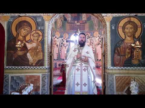 Видео: 2022 05 15 Недеља о раслабљеном-О. Јоаким