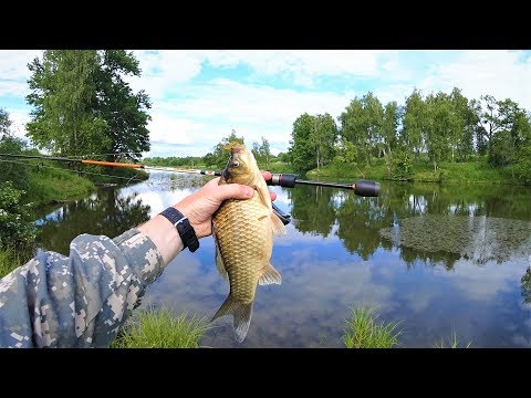 Видео: ЛОВЛЯ КАРАСЯ НА МИКРОДЖИГ / ОН ОГРОМНЫЙ!!!