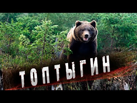 Видео: /Таежная история о дружбе медведя и человека в глухой тайге/