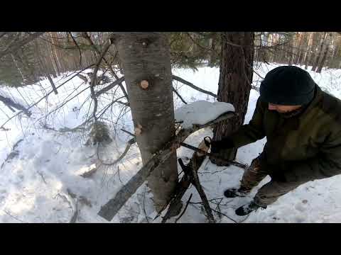 Видео: #кино#зима#фильм#СЕЗОН ОХОТЫ НА СОБОЛЯ#ПРОВЕРКА ПУТИКА 2024 Г. — 2025. 15 серия!