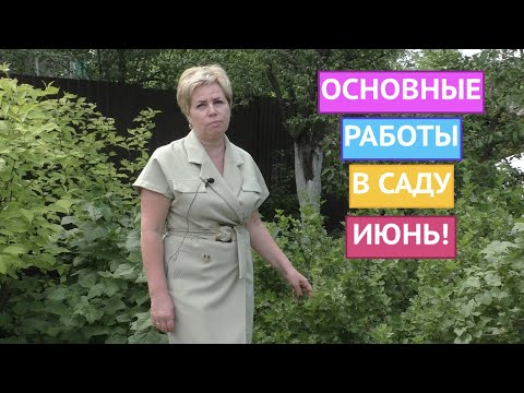 Видео: НЕ ЗАБУДЬТЕ ПРО ЭТИ ДЕЛА В САДУ И ОГОРОДЕ В ИЮНЕ!