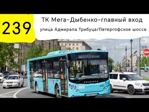 Видео: Информатор 239 автобуса