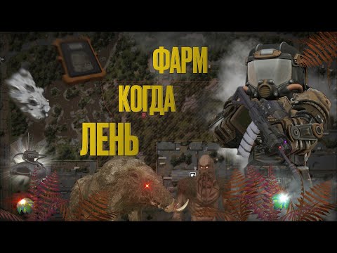 Видео: Безопасный фарм Севера, когда ЛЕНЬ | STALCRAFT X | Подходит для ветеранов.