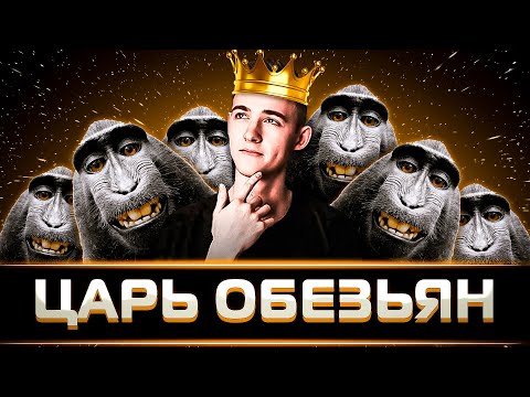 Видео: КЛУМБА СТАЛ ЦАРЁМ ОБЕЗЬЯН. СТИЛЬ ЗА 35 555 555 СЕРЕБРА