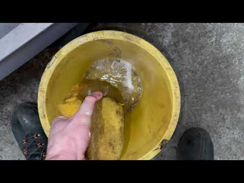 Видео: Протечка воды из багажника Ford Focus MK3. Снятие и сушка коврика сиденья после протечки воды из ...