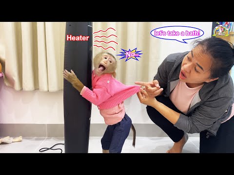 Видео: Мама... Мне не нравится! Обезьянка Лили крепко обнимает обогреватель, потому что не хочет принима...