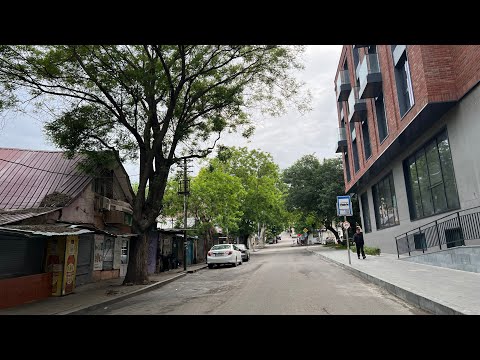 Видео: Тбилиси. Долгожданный маршрут на Элиа. Утренние приключения в поисках старого автобуса. Это кино…