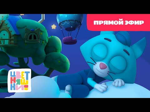 Видео: 💛Цветняшки - Колыбельные: Сказочные сны -  Прямой Эфир - Развивающий мультфильм💛