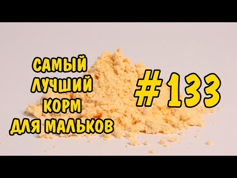 Видео: #133 САМЫЙ ЛУЧШИЙ КОРМ ДЛЯ МАЛЬКОВ. THE BEST FOOD FOR FRY