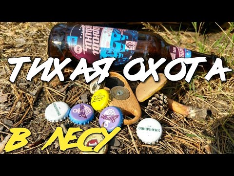 Видео: Тихая охота - собираю грибы и пивные крышки в лесу