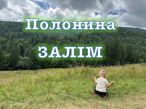 Видео: Полонина Залім Карпати. Татарів.