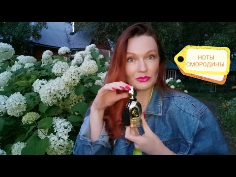 Видео: Мои любимые парфюмы с аккордом смородины: ягоды, почки, листья.