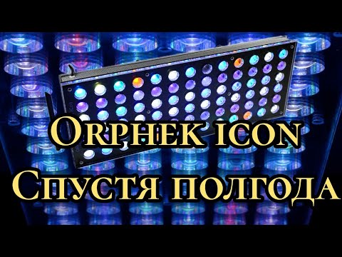 Видео: Orphek icon спустя полгода.